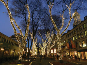 Lighted trees in Boston